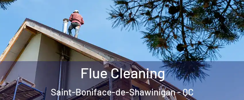  Flue Cleaning Saint-Boniface-de-Shawinigan - QC