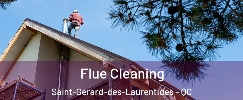  Flue Cleaning Saint-Gerard-des-Laurentides - QC