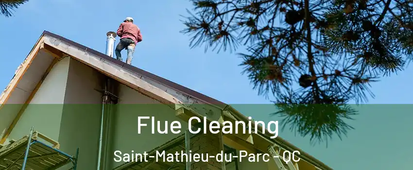  Flue Cleaning Saint-Mathieu-du-Parc - QC