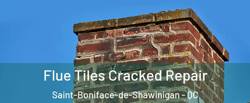  Flue Tiles Cracked Repair Saint-Boniface-de-Shawinigan - QC