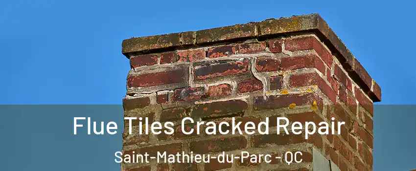  Flue Tiles Cracked Repair Saint-Mathieu-du-Parc - QC