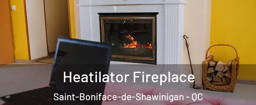 Heatilator Fireplace Saint-Boniface-de-Shawinigan - QC