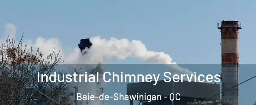  Industrial Chimney Services Baie-de-Shawinigan - QC