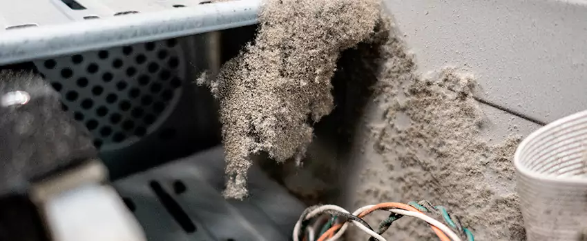 Clogged Dryer Vent Lint Cleaning in Shawinigan, Quebec