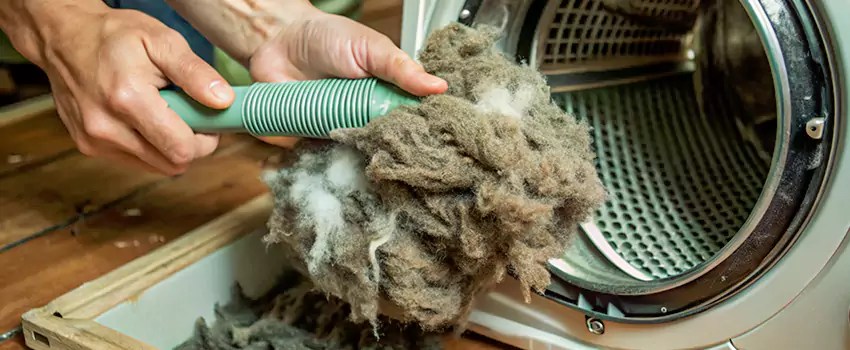 Best Dryer Lint Removal Company in Shawinigan, Quebec