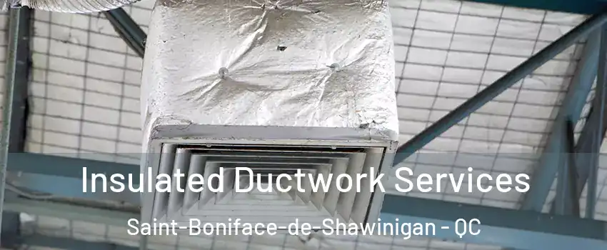  Insulated Ductwork Services Saint-Boniface-de-Shawinigan - QC
