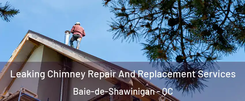 Leaking Chimney Repair And Replacement Services Baie-de-Shawinigan - QC