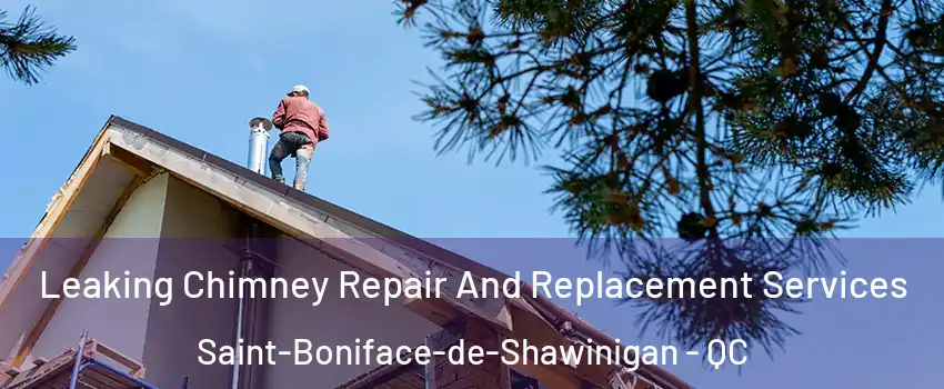  Leaking Chimney Repair And Replacement Services Saint-Boniface-de-Shawinigan - QC