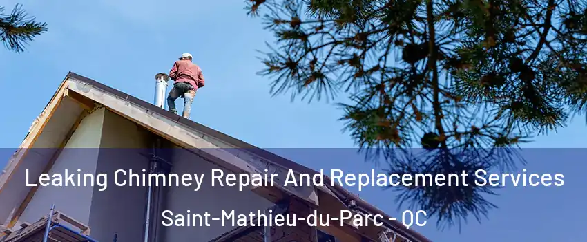  Leaking Chimney Repair And Replacement Services Saint-Mathieu-du-Parc - QC
