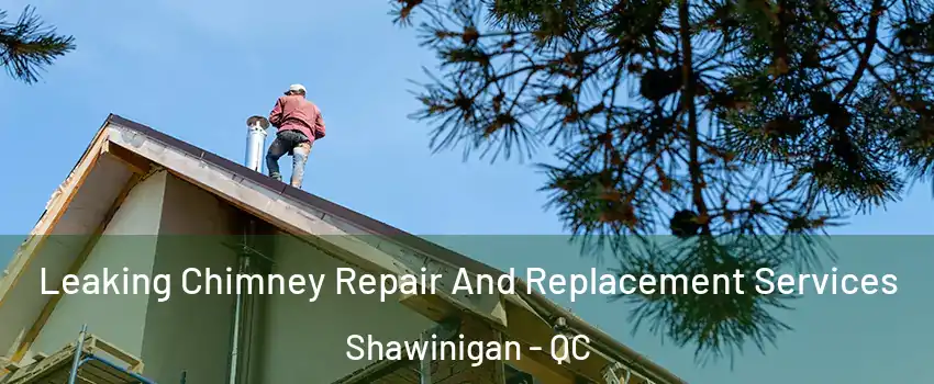  Leaking Chimney Repair And Replacement Services Shawinigan - QC