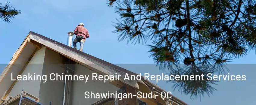  Leaking Chimney Repair And Replacement Services Shawinigan-Sud - QC