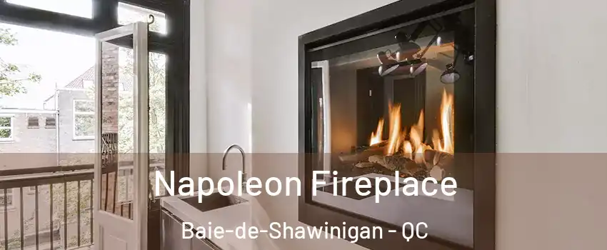  Napoleon Fireplace Baie-de-Shawinigan - QC