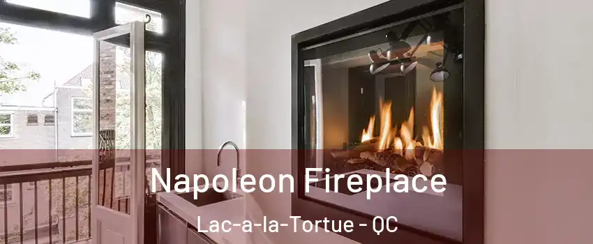  Napoleon Fireplace Lac-a-la-Tortue - QC