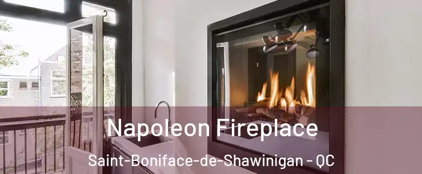  Napoleon Fireplace Saint-Boniface-de-Shawinigan - QC