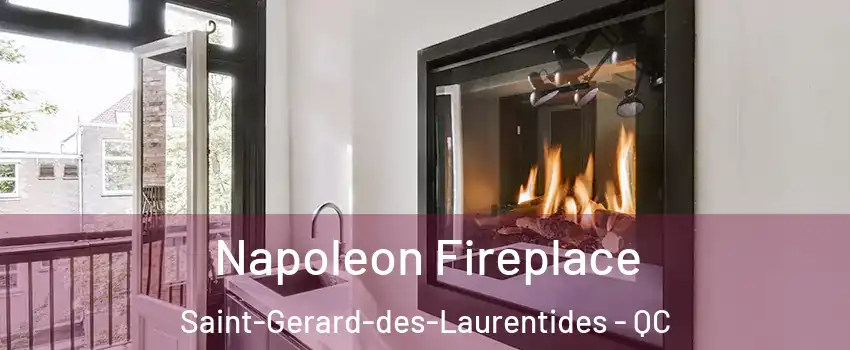  Napoleon Fireplace Saint-Gerard-des-Laurentides - QC