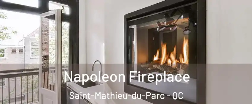 Napoleon Fireplace Saint-Mathieu-du-Parc - QC