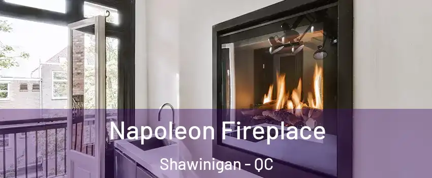  Napoleon Fireplace Shawinigan - QC