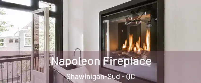  Napoleon Fireplace Shawinigan-Sud - QC