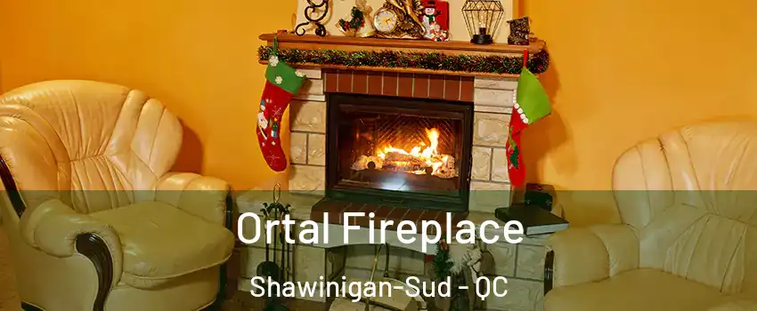  Ortal Fireplace Shawinigan-Sud - QC
