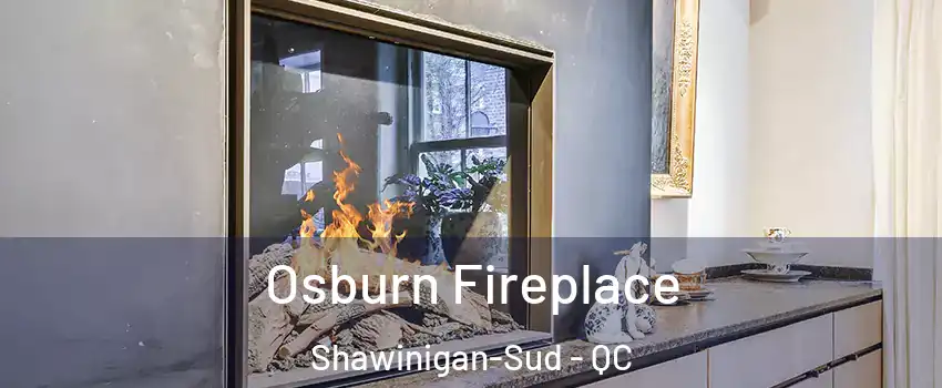  Osburn Fireplace Shawinigan-Sud - QC