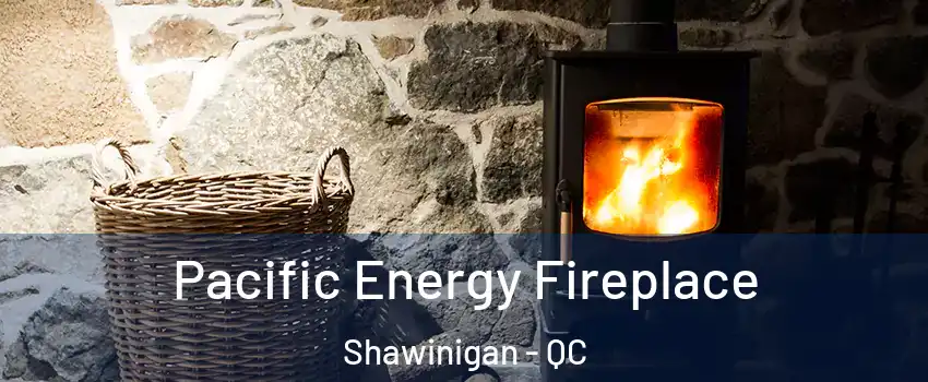  Pacific Energy Fireplace Shawinigan - QC