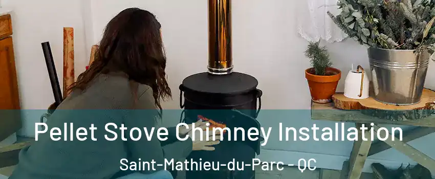  Pellet Stove Chimney Installation Saint-Mathieu-du-Parc - QC