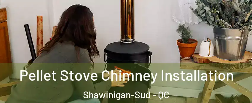  Pellet Stove Chimney Installation Shawinigan-Sud - QC