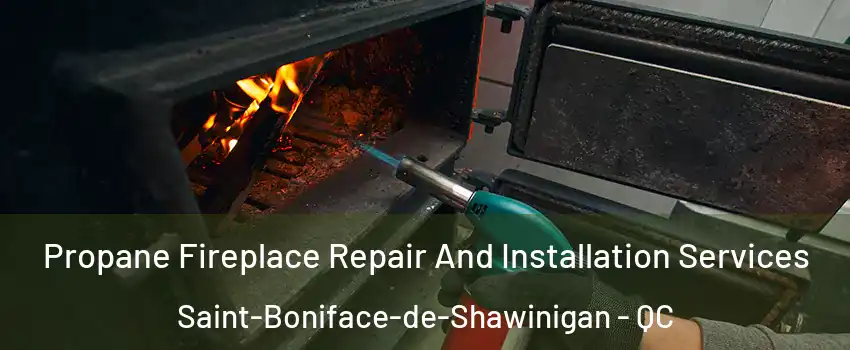  Propane Fireplace Repair And Installation Services Saint-Boniface-de-Shawinigan - QC