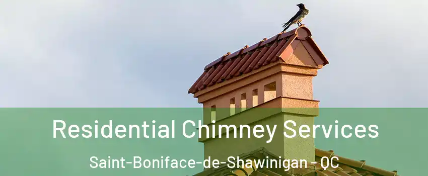  Residential Chimney Services Saint-Boniface-de-Shawinigan - QC