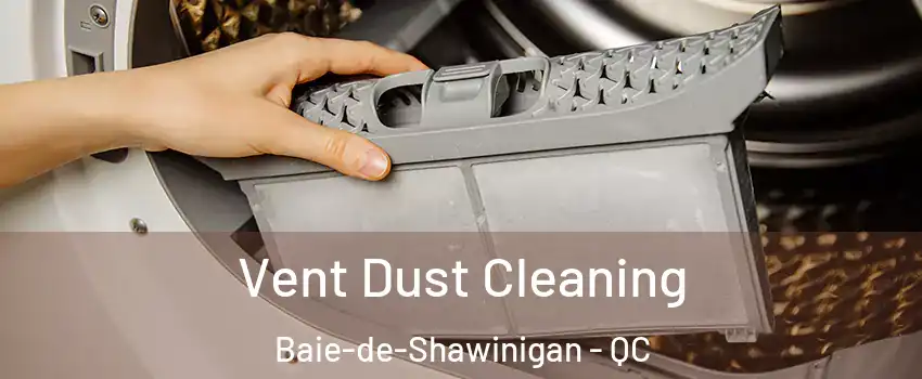  Vent Dust Cleaning Baie-de-Shawinigan - QC