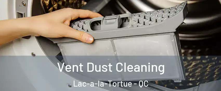  Vent Dust Cleaning Lac-a-la-Tortue - QC