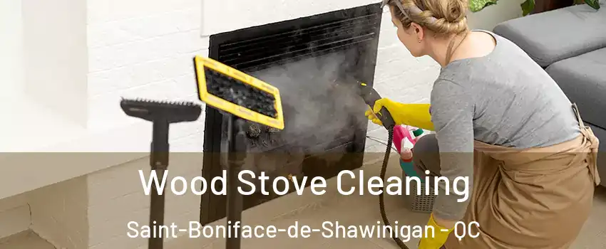  Wood Stove Cleaning Saint-Boniface-de-Shawinigan - QC