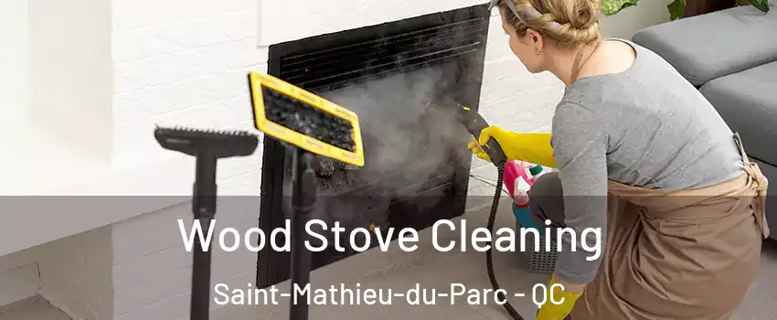  Wood Stove Cleaning Saint-Mathieu-du-Parc - QC