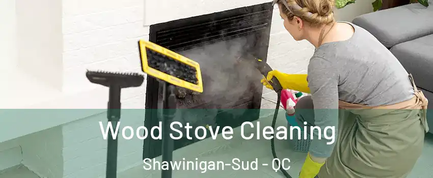  Wood Stove Cleaning Shawinigan-Sud - QC